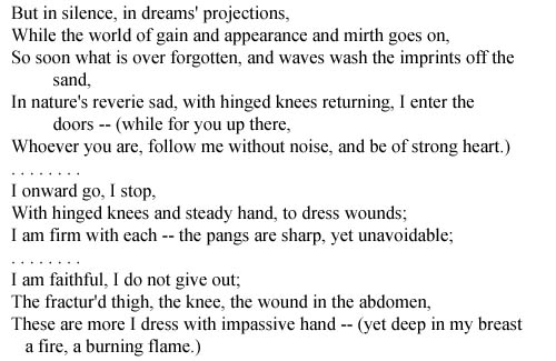 the wound dresser walt whitman summary